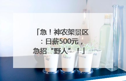 急！神农架景区：日薪500元，急招“野人”！