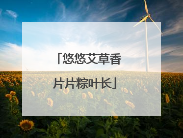 悠悠艾草香 片片粽叶长