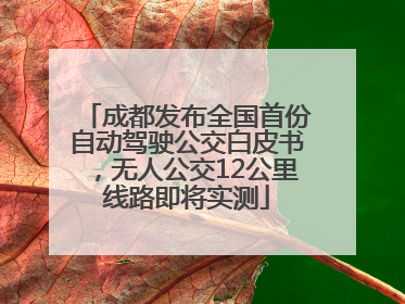 成都发布全国首份自动驾驶公交白皮书，无人公交12公里线路即将实测