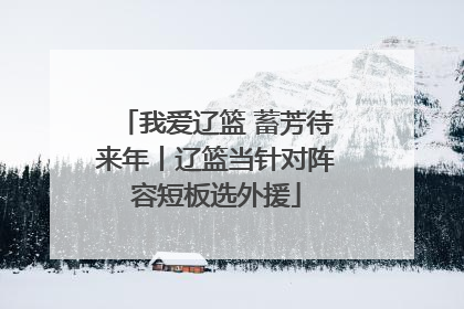 我爱辽篮 蓄芳待来年丨辽篮当针对阵容短板选外援