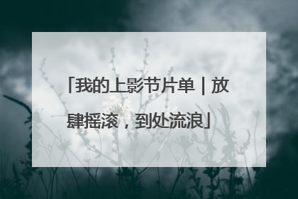 我的上影节片单｜放肆摇滚，到处流浪