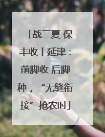 战三夏 保丰收丨延津：前脚收 后脚种，“无缝衔接”抢农时