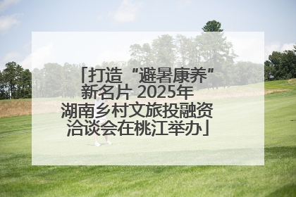 打造“避暑康养”新名片 2025年湖南乡村文旅投融资洽谈会在桃江举办