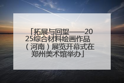 拓展与回望——2025综合材料绘画作品（河南）展览开幕式在郑州美术馆举办
