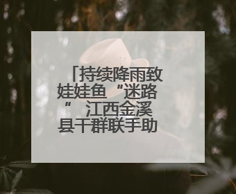 持续降雨致娃娃鱼“迷路” 江西金溪县干群联手助其重返自然