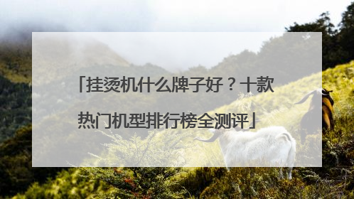 挂烫机什么牌子好？十款热门机型排行榜全测评
