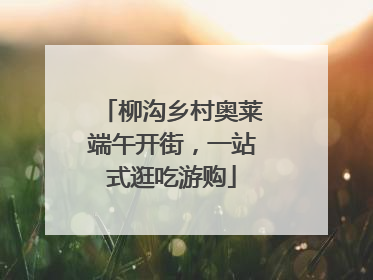 柳沟乡村奥莱端午开街，一站式逛吃游购