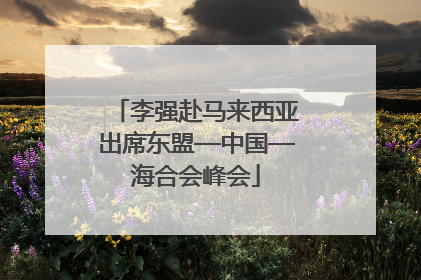 李强赴马来西亚出席东盟—中国—海合会峰会