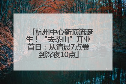 杭州中心新顶流诞生！“去茶山”开业首日：从清晨7点卷到深夜10点