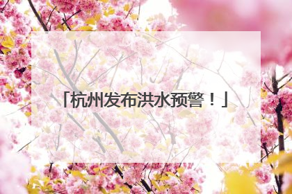 杭州发布洪水预警！