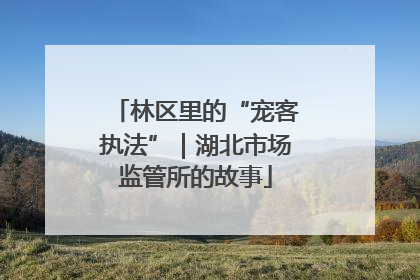 林区里的“宠客执法”｜湖北市场监管所的故事