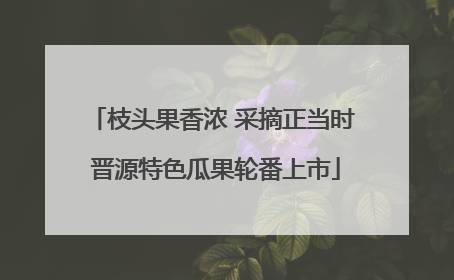 枝头果香浓 采摘正当时 晋源特色瓜果轮番上市