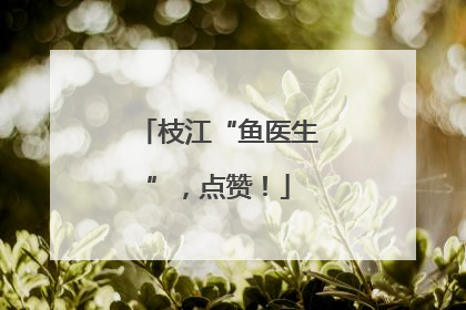枝江“鱼医生”，点赞！