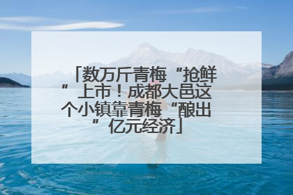 数万斤青梅“抢鲜”上市！成都大邑这个小镇靠青梅“酿出”亿元经济