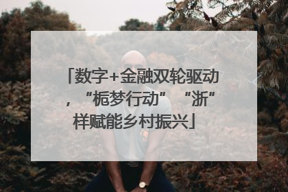 数字+金融双轮驱动，“栀梦行动”“浙”样赋能乡村振兴