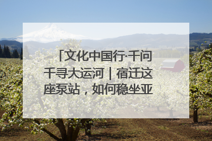 文化中国行·千问千寻大运河｜宿迁这座泵站，如何稳坐亚洲第一宝座？