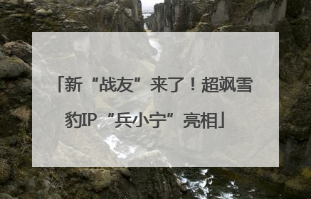 新“战友”来了！超飒雪豹IP“兵小宁”亮相
