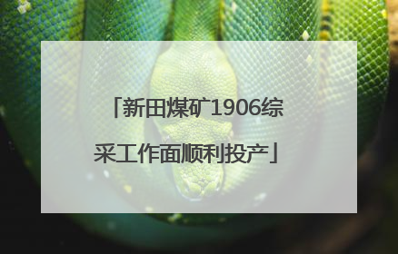 新田煤矿1906综采工作面顺利投产