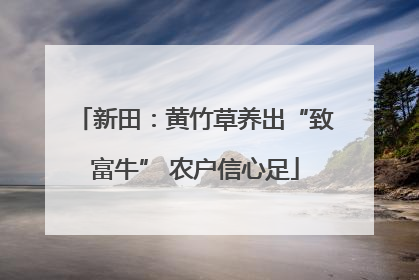 新田：黄竹草养出“致富牛” 农户信心足