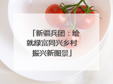 新疆兵团：绘就绿富同兴乡村振兴新图景