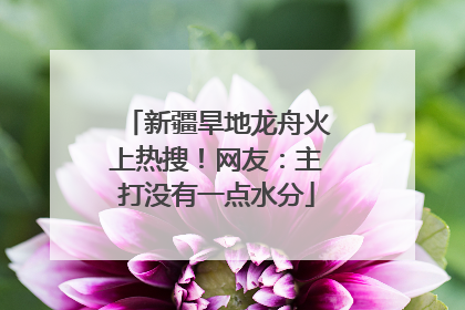 新疆旱地龙舟火上热搜！网友：主打没有一点水分