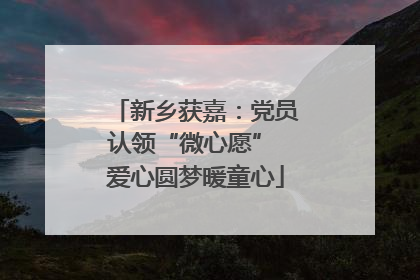 新乡获嘉：党员认领“微心愿” 爱心圆梦暖童心