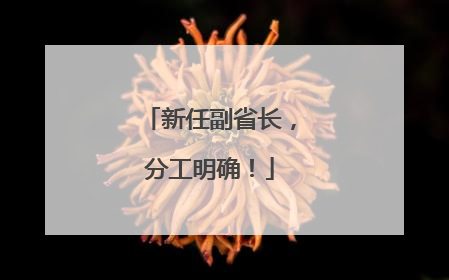 新任副省长，分工明确！