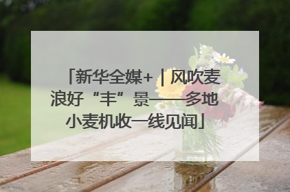 新华全媒+｜风吹麦浪好“丰”景——多地小麦机收一线见闻