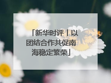 新华时评丨以团结合作共促南海稳定繁荣