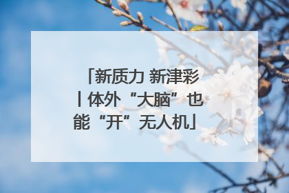 新质力 新津彩丨体外“大脑”也能“开”无人机