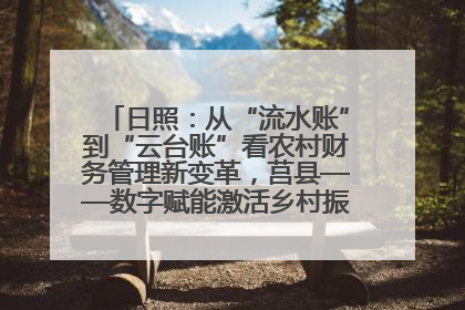 日照：从“流水账”到“云台账”看农村财务管理新变革，莒县——数字赋能激活乡村振兴“一池春水”
