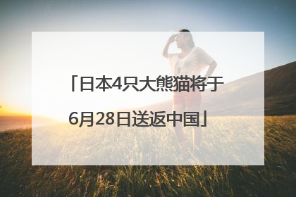 日本4只大熊猫将于6月28日送返中国