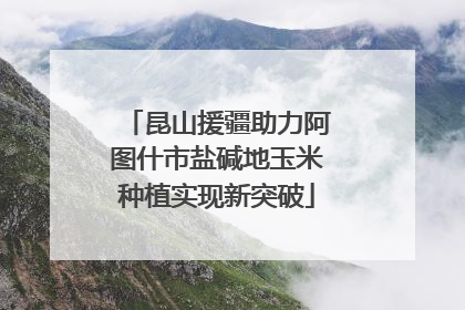 昆山援疆助力阿图什市盐碱地玉米种植实现新突破