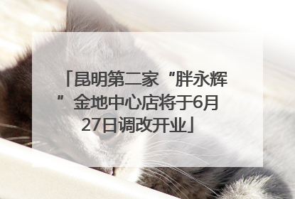 昆明第二家“胖永辉”金地中心店将于6月27日调改开业