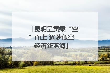 昆明呈贡乘“空”而上 逐梦低空经济新蓝海