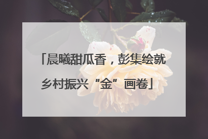 晨曦甜瓜香，彭集绘就乡村振兴“金”画卷