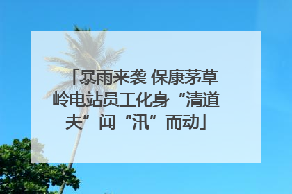 暴雨来袭 保康茅草岭电站员工化身“清道夫”闻“汛”而动
