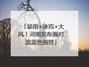 暴雨+冰雹+大风！河南发布强对流蓝色预警