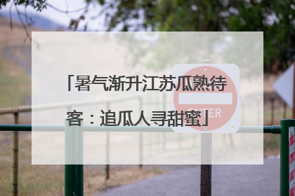 暑气渐升江苏瓜熟待客：追瓜人寻甜蜜