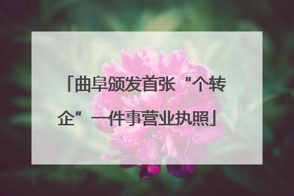 曲阜颁发首张“个转企”一件事营业执照