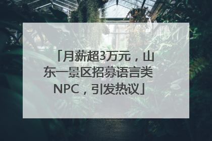 月薪超3万元，山东一景区招募语言类NPC，引发热议