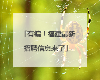 有编！福建最新招聘信息来了