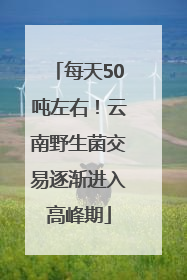 每天50吨左右！云南野生菌交易逐渐进入高峰期