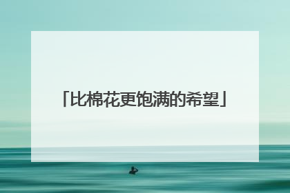 比棉花更饱满的希望