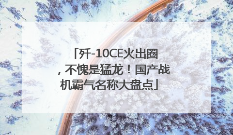 歼-10CE火出圈，不愧是猛龙！国产战机霸气名称大盘点