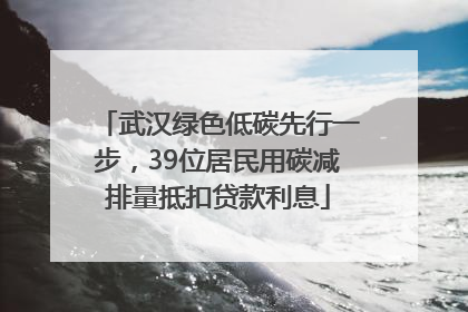 武汉绿色低碳先行一步，39位居民用碳减排量抵扣贷款利息