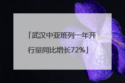 武汉中亚班列一年开行量同比增长72%