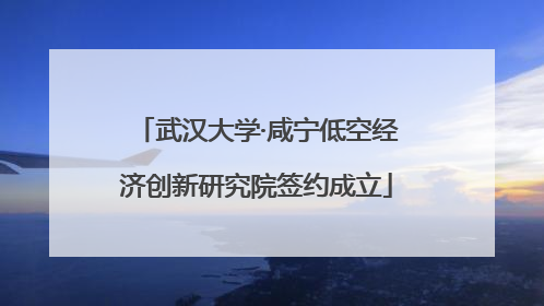 武汉大学·咸宁低空经济创新研究院签约成立