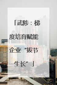 武陟：梯度培育赋能企业“拔节生长”