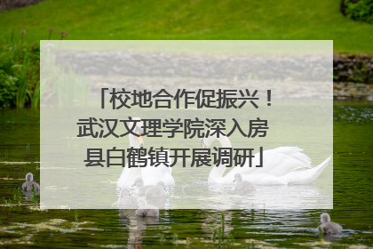 校地合作促振兴！武汉文理学院深入房县白鹤镇开展调研